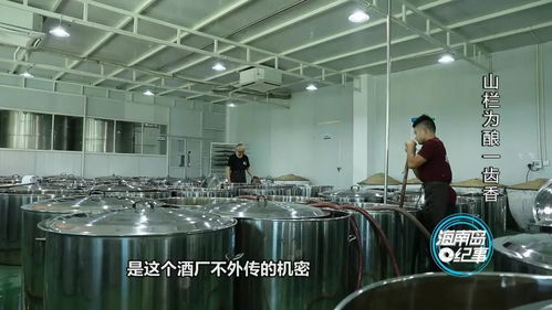 三年之期 用心唤物 他们用工业化制酒传承黎族的 香槟 让山栏酒香飘千里